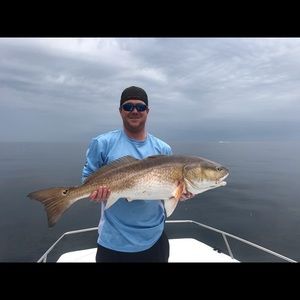 Meet your Posher, Wesley